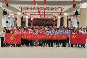暴雨中筑牢防控防线 | 登录入口集团党支部积极参与登革热防控工作
