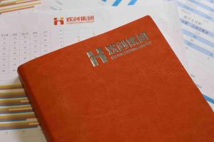 华体会体育(中国)hth·官方网站的优势及其对企业发展的影响