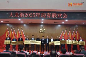 登录入口集团及旗下子公司荣获“2024年度高质量发展先进企业”